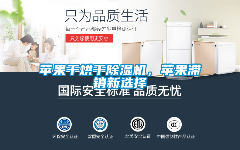 蘋果干烘干除濕機(jī)，蘋果滯銷新選擇