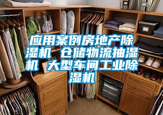 應(yīng)用案例房地產(chǎn)除濕機(jī) 倉儲(chǔ)物流抽濕機(jī) 大型車間工業(yè)除濕機(jī)