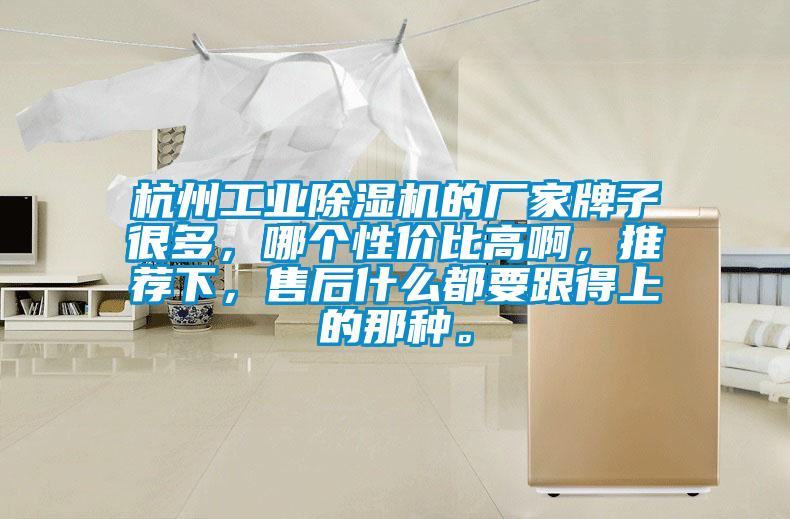 杭州工業除濕機的廠家牌子很多，哪個性價比高啊，推薦下，售后什么都要跟得上的那種。