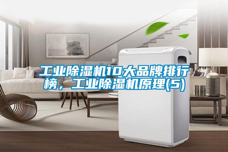 工業(yè)除濕機(jī)10大品牌排行榜，工業(yè)除濕機(jī)原理(5)