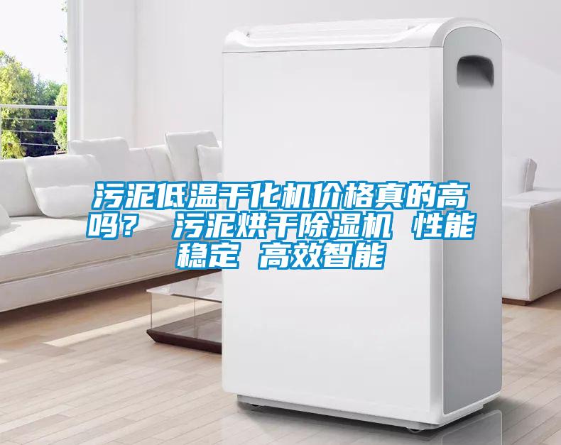 污泥低溫干化機價格真的高嗎？ 污泥烘干除濕機 性能穩定 高效智能