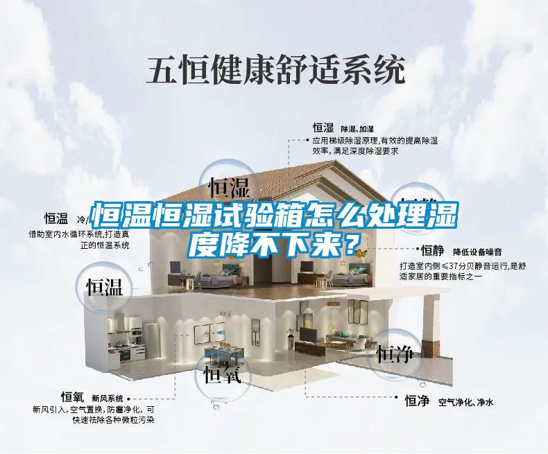 恒溫恒濕試驗(yàn)箱怎么處理濕度降不下來？