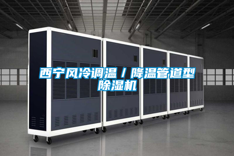 西寧風(fēng)冷調(diào)溫/降溫管道型除濕機