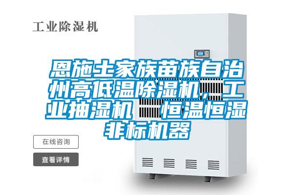 恩施土家族苗族自治州高低溫除濕機,工業抽濕機 恒溫恒濕非標機器