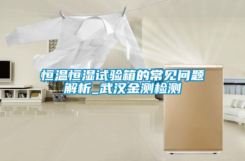 恒溫恒濕試驗(yàn)箱的常見問題解析_武漢金測(cè)檢測(cè)