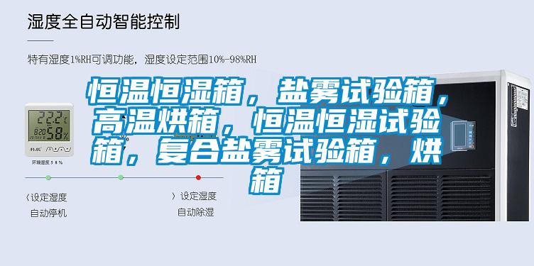 恒溫恒濕箱,鹽霧試驗(yàn)箱,高溫烘箱,恒溫恒濕試驗(yàn)箱,復(fù)合鹽霧試驗(yàn)箱,烘箱