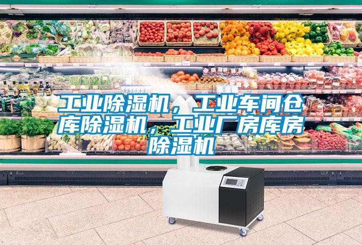 工業(yè)除濕機(jī)，工業(yè)車間倉庫除濕機(jī)，工業(yè)廠房庫房除濕機(jī)