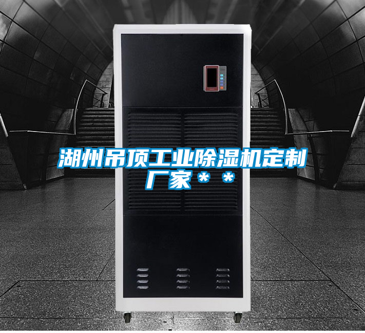 湖州吊頂工業除濕機定制 廠家**