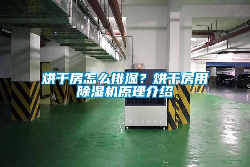 烘干房怎么排濕？烘干房用除濕機(jī)原理介紹