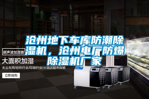 滄州地下車庫防潮除濕機(jī),滄州電廠防爆除濕機(jī)廠家