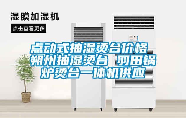 點動式抽濕燙臺價格 朔州抽濕燙臺 羽田鍋爐燙臺一體機供應