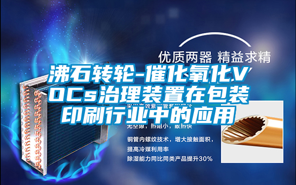 沸石轉輪-催化氧化VOCs治理裝置在包裝印刷行業(yè)中的應用