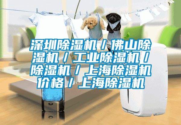 深圳除濕機(jī)/佛山除濕機(jī)/工業(yè)除濕機(jī)/除濕機(jī)/上海除濕機(jī)價格/上海除濕機(jī)