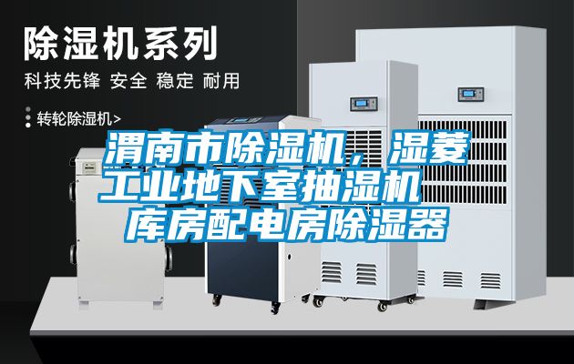 渭南市除濕機，濕菱工業(yè)地下室抽濕機  庫房配電房除濕器