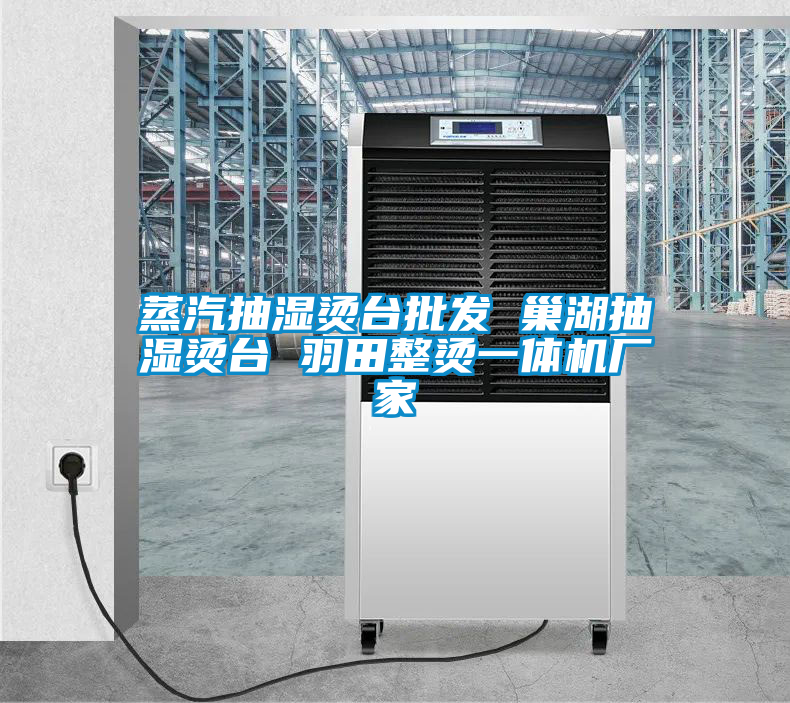 蒸汽抽濕燙臺(tái)批發(fā) 巢湖抽濕燙臺(tái) 羽田整燙一體機(jī)廠(chǎng)家