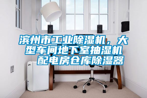 濱州市工業(yè)除濕機(jī),大型車間地下室抽濕機(jī) 配電房倉(cāng)庫(kù)除濕器