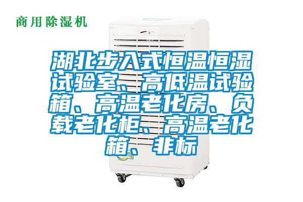 湖北步入式恒溫恒濕試驗室、高低溫試驗箱、高溫老化房、負載老化柜、高溫老化箱、非標