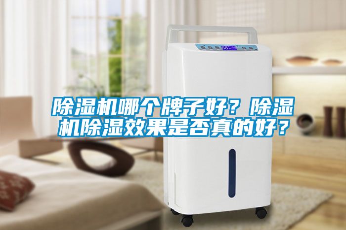 除濕機哪個牌子好？除濕機除濕效果是否真的好？