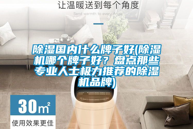 除濕國內(nèi)什么牌子好(除濕機哪個牌子好?盤點那些專業(yè)人士極力推薦的除濕機品牌)