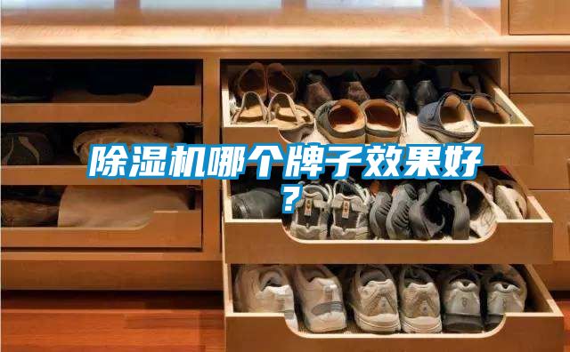 除濕機(jī)哪個牌子效果好？