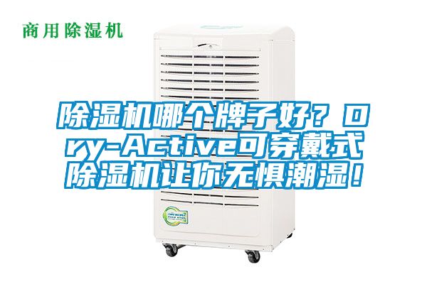 除濕機哪個牌子好？Dry-Active可穿戴式除濕機讓你無懼潮濕！
