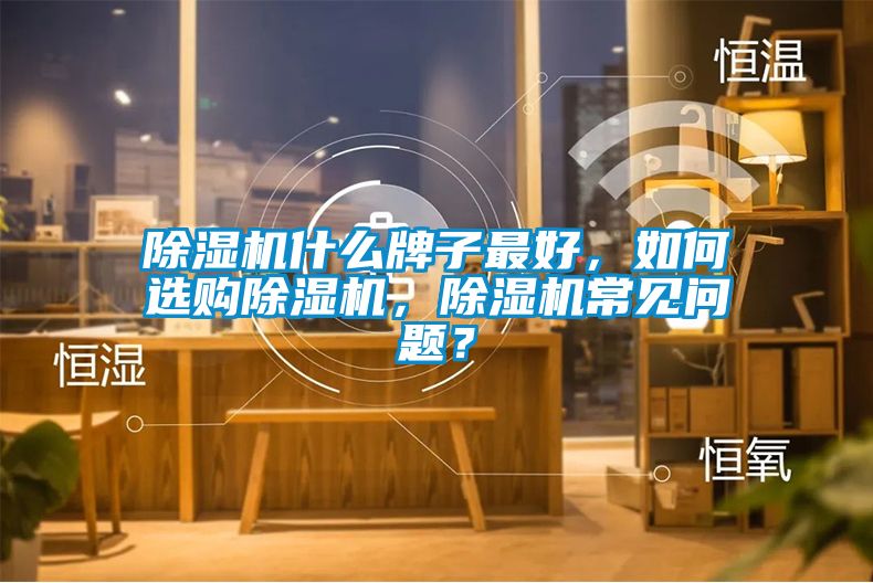 除濕機什么牌子最好，如何選購除濕機，除濕機常見問題？
