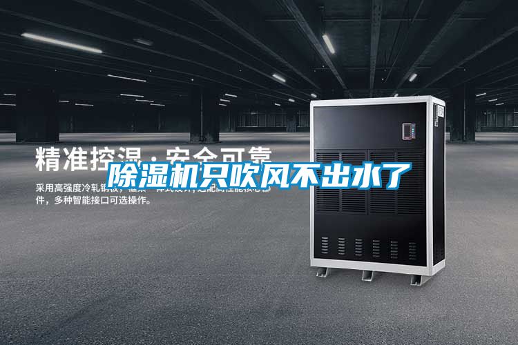除濕機(jī)只吹風(fēng)不出水了