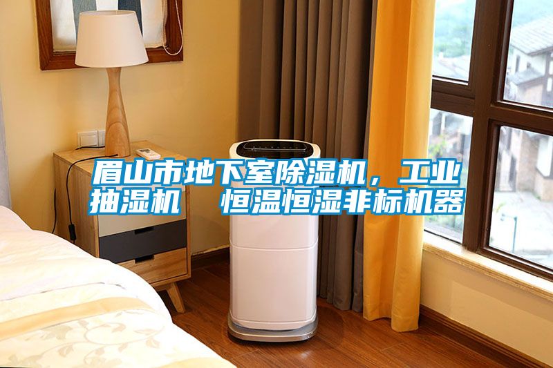 眉山市地下室除濕機，工業抽濕機  恒溫恒濕非標機器