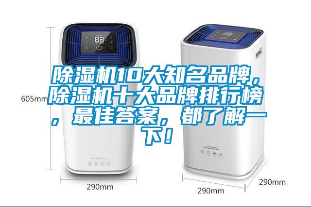 除濕機10大知名品牌，除濕機十大品牌排行榜，最佳答案，都了解一下！