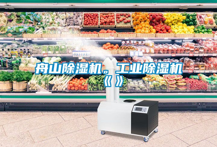 舟山除濕機。工業除濕機《》