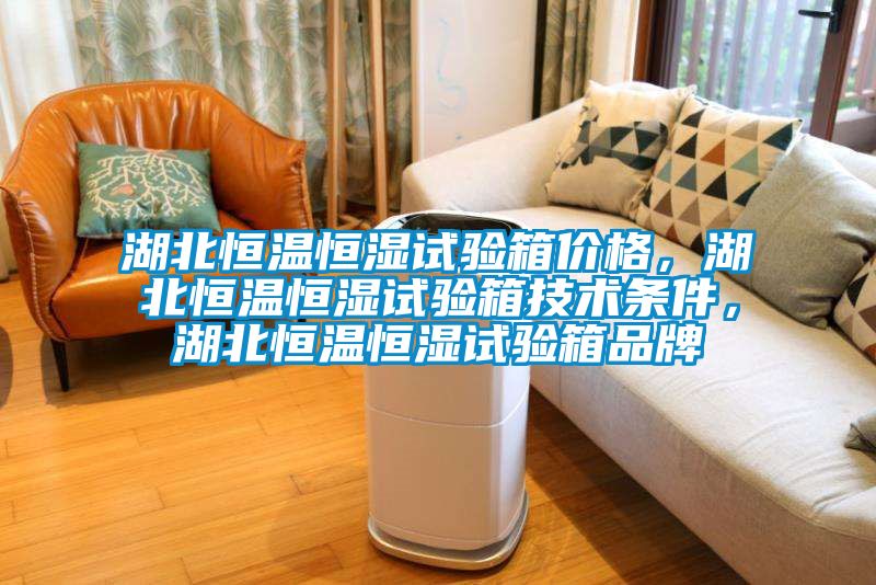 湖北恒溫恒濕試驗(yàn)箱價(jià)格,湖北恒溫恒濕試驗(yàn)箱技術(shù)條件,湖北恒溫恒濕試驗(yàn)箱品牌