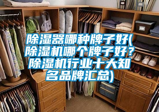 除濕器哪種牌子好(除濕機(jī)哪個牌子好？除濕機(jī)行業(yè)十大知名品牌匯總)