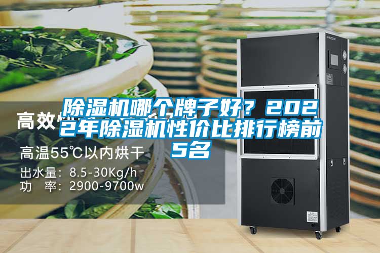 除濕機哪個牌子好？2022年除濕機性價比排行榜前5名