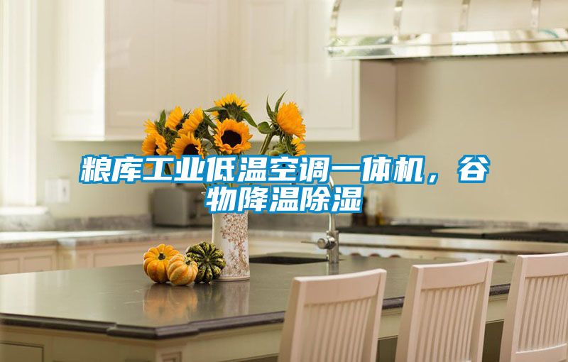 糧庫工業低溫空調一體機，谷物降溫除濕