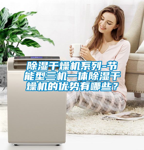 除濕干燥機系列-節(jié)能型三機一體除濕干燥機的優(yōu)勢有哪些？