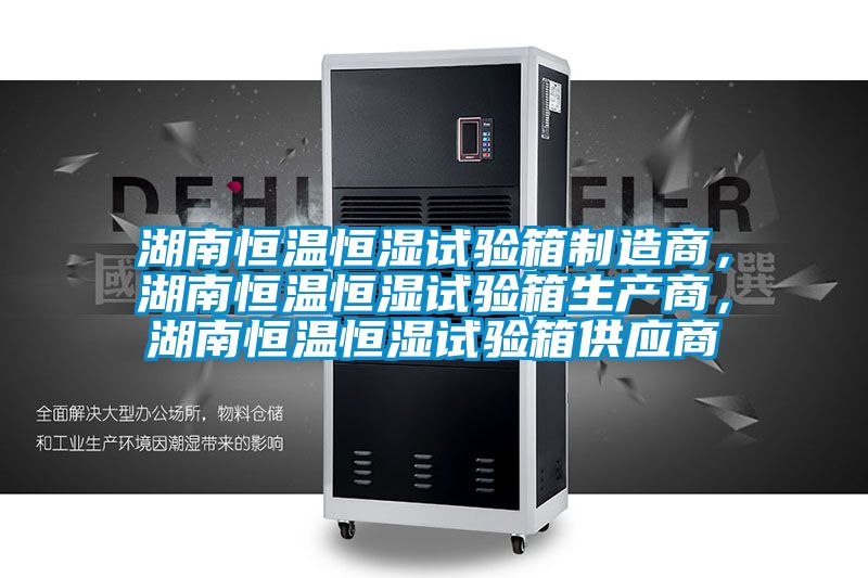 湖南恒溫恒濕試驗箱制造商，湖南恒溫恒濕試驗箱生產商，湖南恒溫恒濕試驗箱供應商