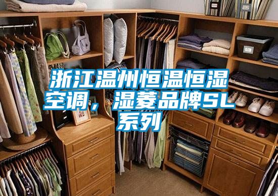 浙江溫州恒溫恒濕空調,濕菱品牌SL系列