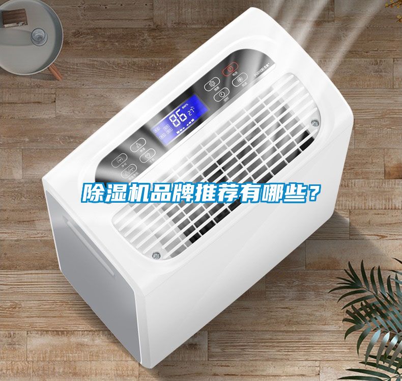 除濕機品牌推薦有哪些？