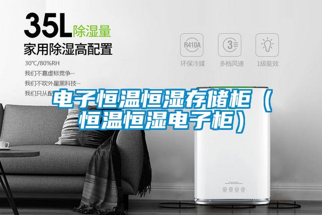 電子恒溫恒濕存儲柜(恒溫恒濕電子柜)