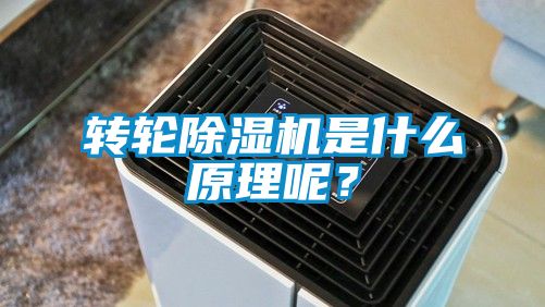 轉輪除濕機是什么原理呢？