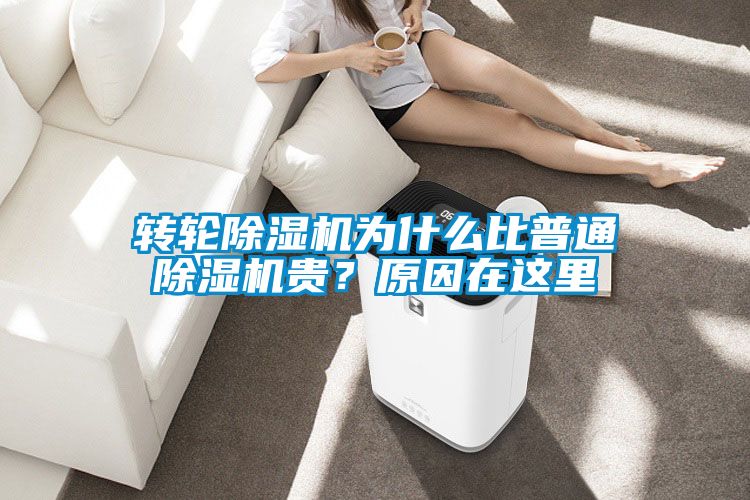 轉輪除濕機為什么比普通除濕機貴？原因在這里