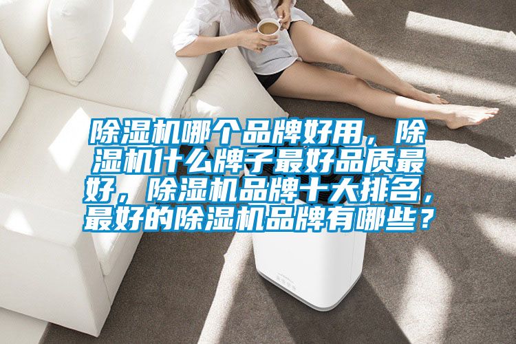 除濕機哪個品牌好用，除濕機什么牌子最好品質最好，除濕機品牌十大排名，最好的除濕機品牌有哪些？