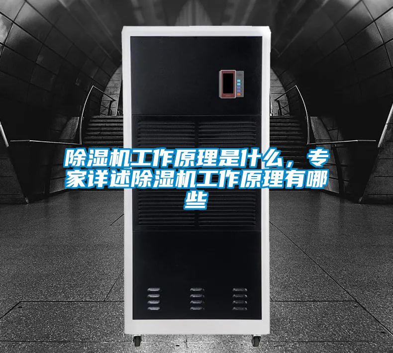 除濕機工作原理是什么，專家詳述除濕機工作原理有哪些