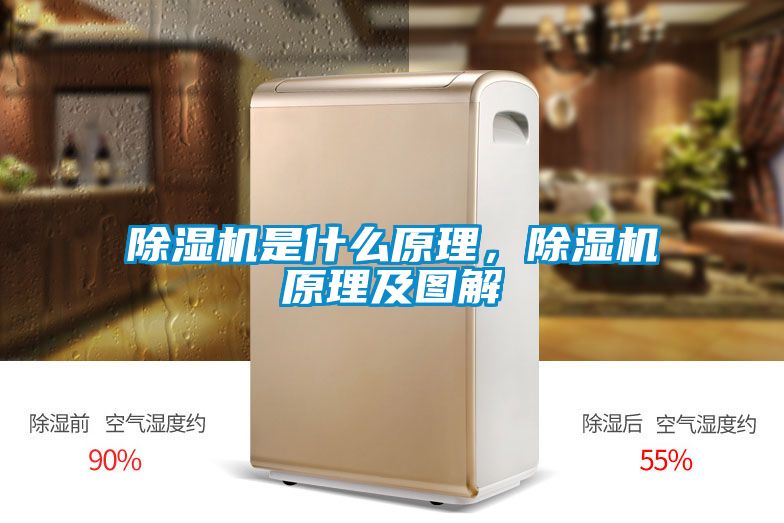 除濕機是什么原理，除濕機原理及圖解