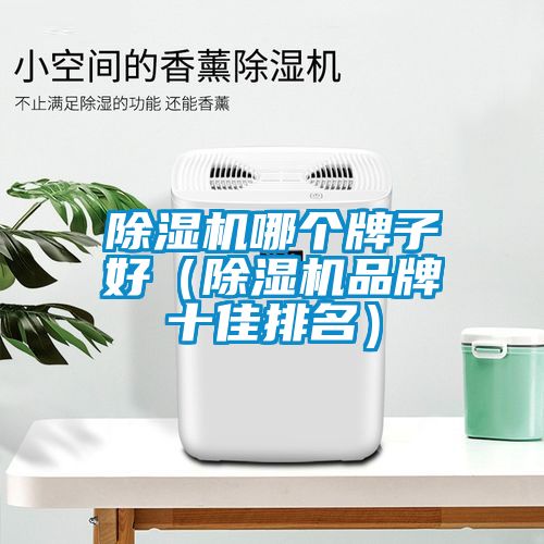 除濕機哪個牌子好(除濕機品牌十佳排名)