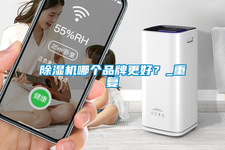 除濕機哪個品牌更好？_重復