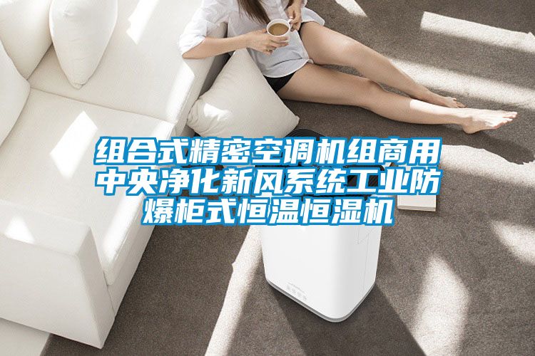 組合式精密空調(diào)機組商用中央凈化新風(fēng)系統(tǒng)工業(yè)防爆柜式恒溫恒濕機