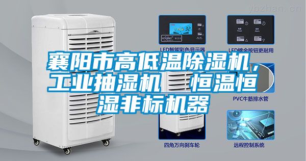 襄陽市高低溫除濕機(jī)，工業(yè)抽濕機(jī)  恒溫恒濕非標(biāo)機(jī)器