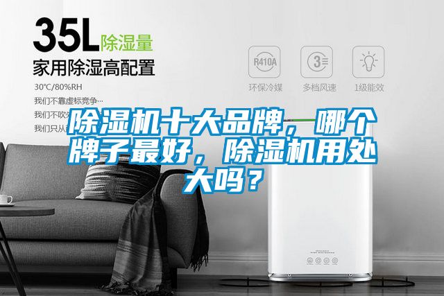 除濕機十大品牌，哪個牌子最好，除濕機用處大嗎？
