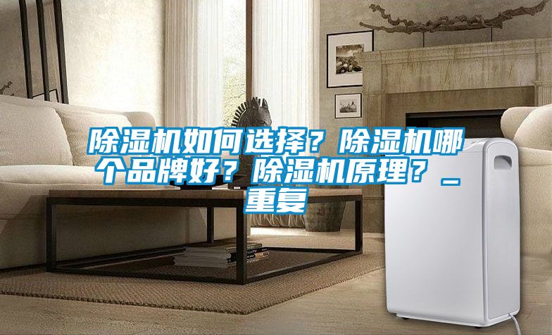 除濕機如何選擇？除濕機哪個品牌好？除濕機原理？_重復